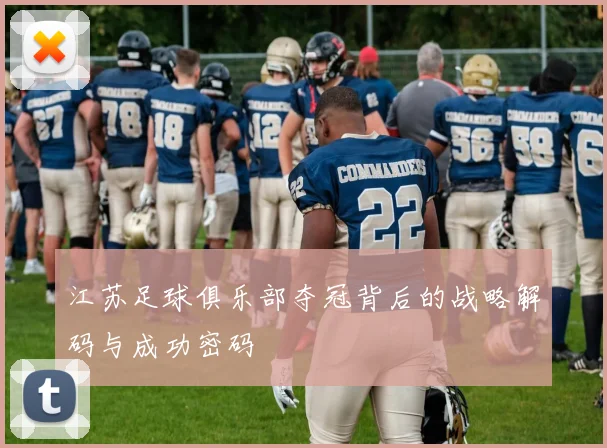 江苏足球俱乐部夺冠背后的战略解码与成功密码